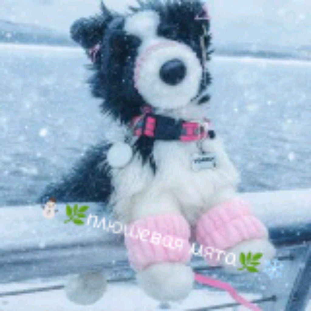 Иконка канала ☃️🌿ᥒ᥈юɯᥱⲃᥲя ⲙяⲧᥲ🌿❄️