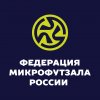 Иконка канала Федерация микрофутзала России