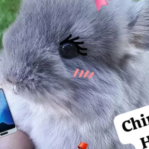 Иконка канала ♥~Chinchillα_Histori~♥