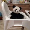 Иконка канала Мир Панд❤️💮🐼
