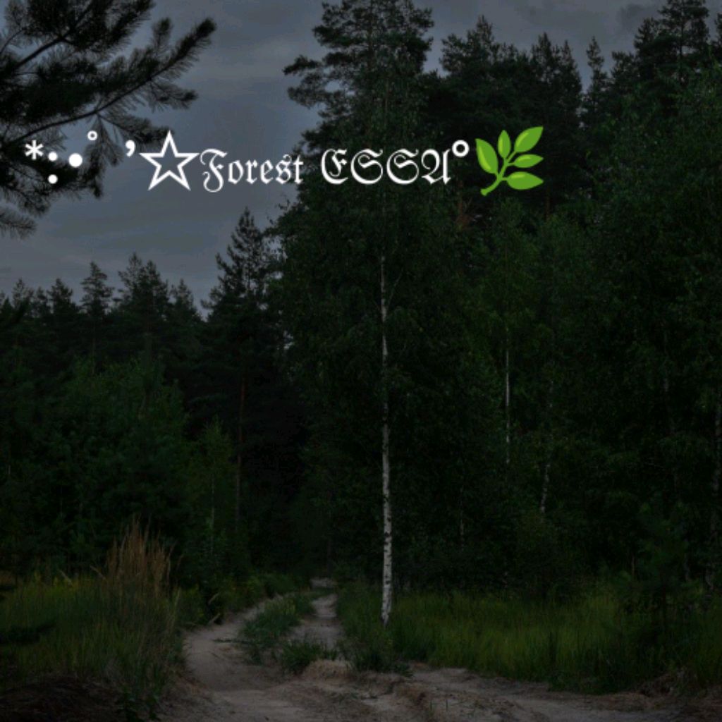 Иконка канала *:･ﾟ’☆𝔉𝔬𝔯𝔢𝔰𝔱 𝔈𝔖𝔖𝔄°🌿