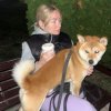 Иконка канала Сиба Ину Эверест и Тануки