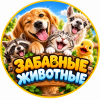 Иконка канала Забавные животные