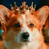 Иконка канала МИНИ КОРЖИК