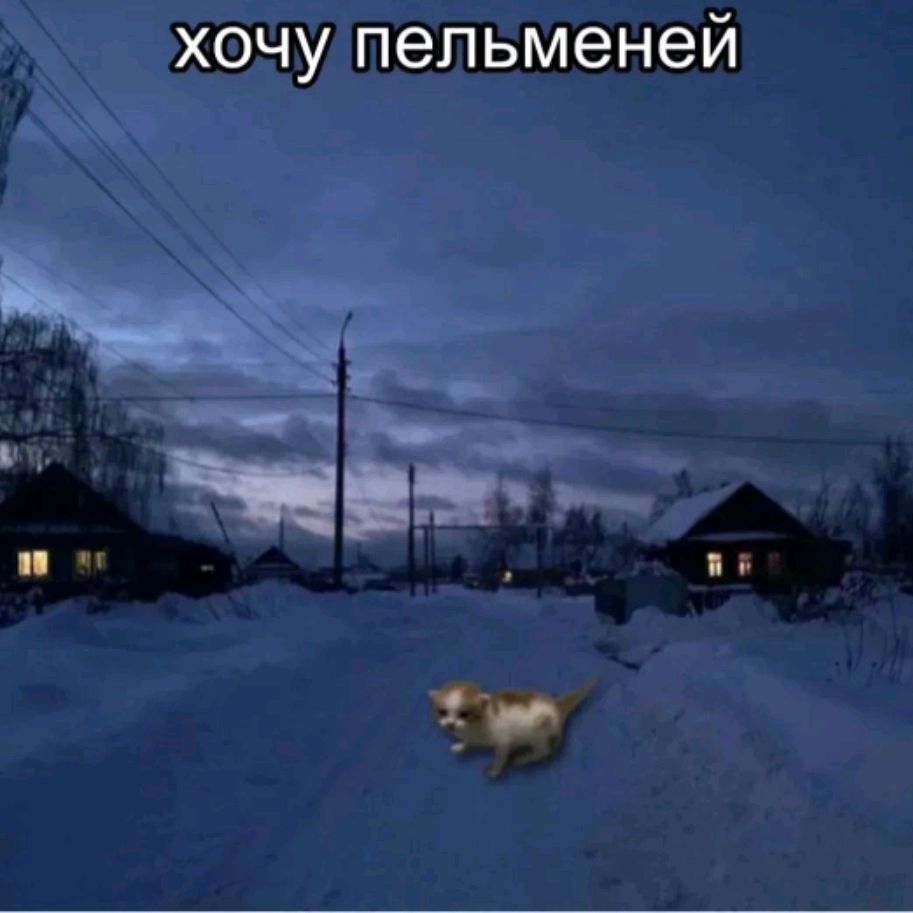 Иконка канала 🐚Шелли 🐚(фанат Луки_ви)