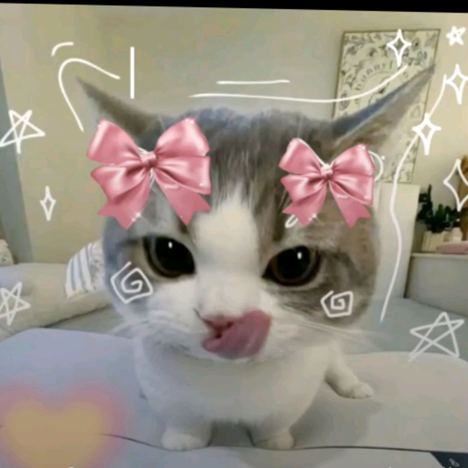 Иконка канала Котик Мисс