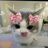 Иконка канала Котик Мисс