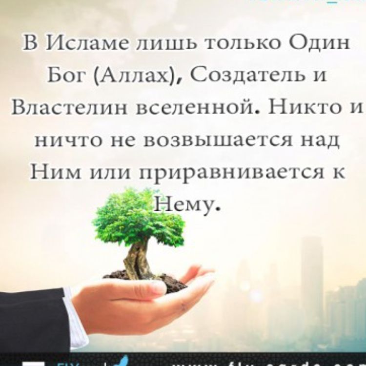 Иконка канала Я мусульманин