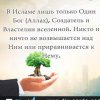 Иконка канала Я мусульманин