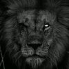 Иконка канала channel81795092