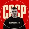 Иконка канала Bulavskii_ai