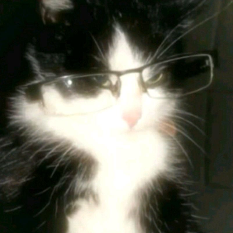Иконка канала ‰Котик Мотик,%