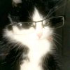 Иконка канала ‰Котик Мотик,%