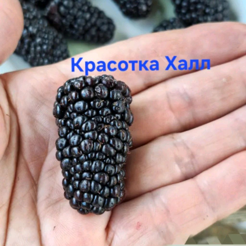 Иконка канала Ульяна 1256