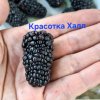 Иконка канала Ульяна 1256