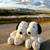 Иконка канала Пара хвостиков😽🐶