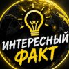 Иконка канала Интересный Факт