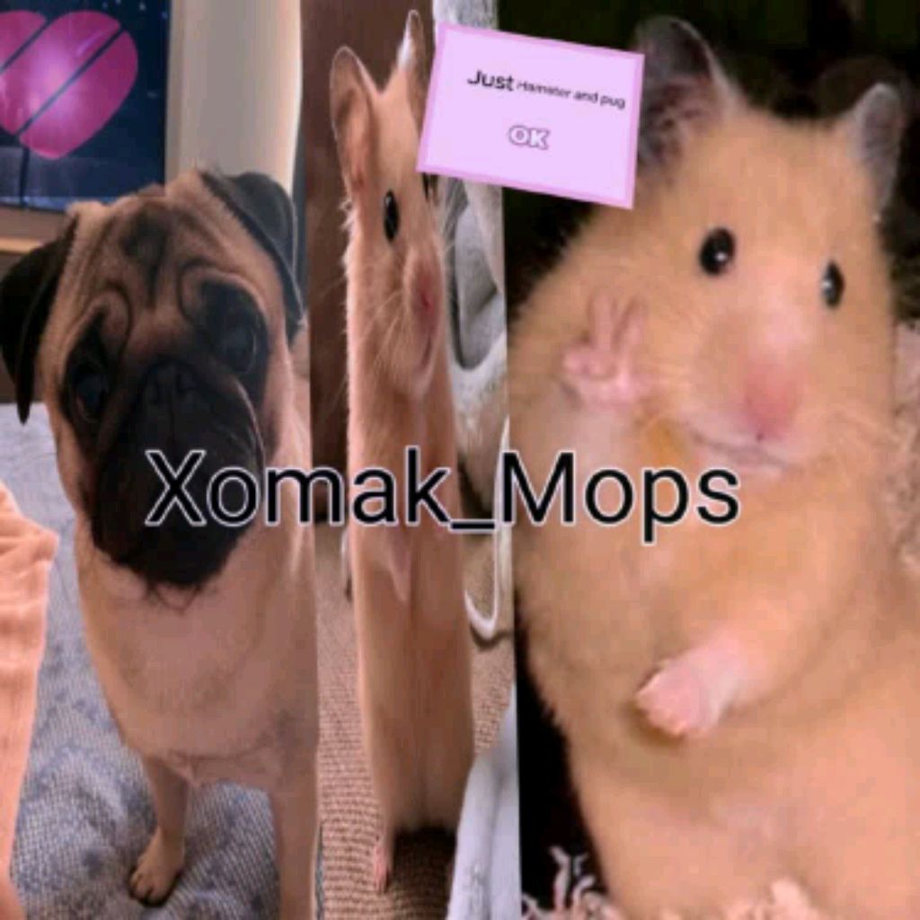 Иконка канала Xomak_Mops