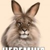 Иконка канала ilya