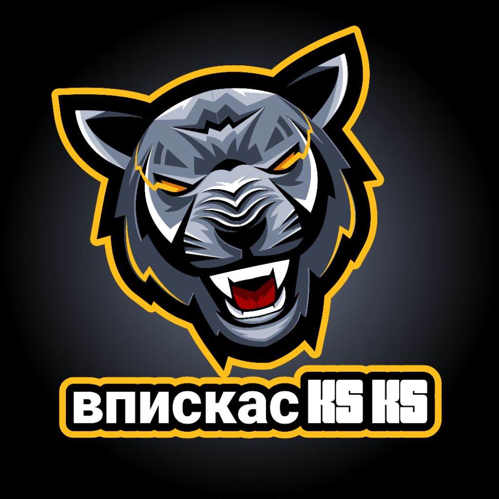 Иконка канала Впискас Ks Ks