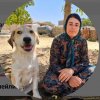 Иконка канала Elena life