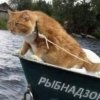 Иконка канала ANGARAFISH