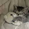 Иконка канала Flowex_play