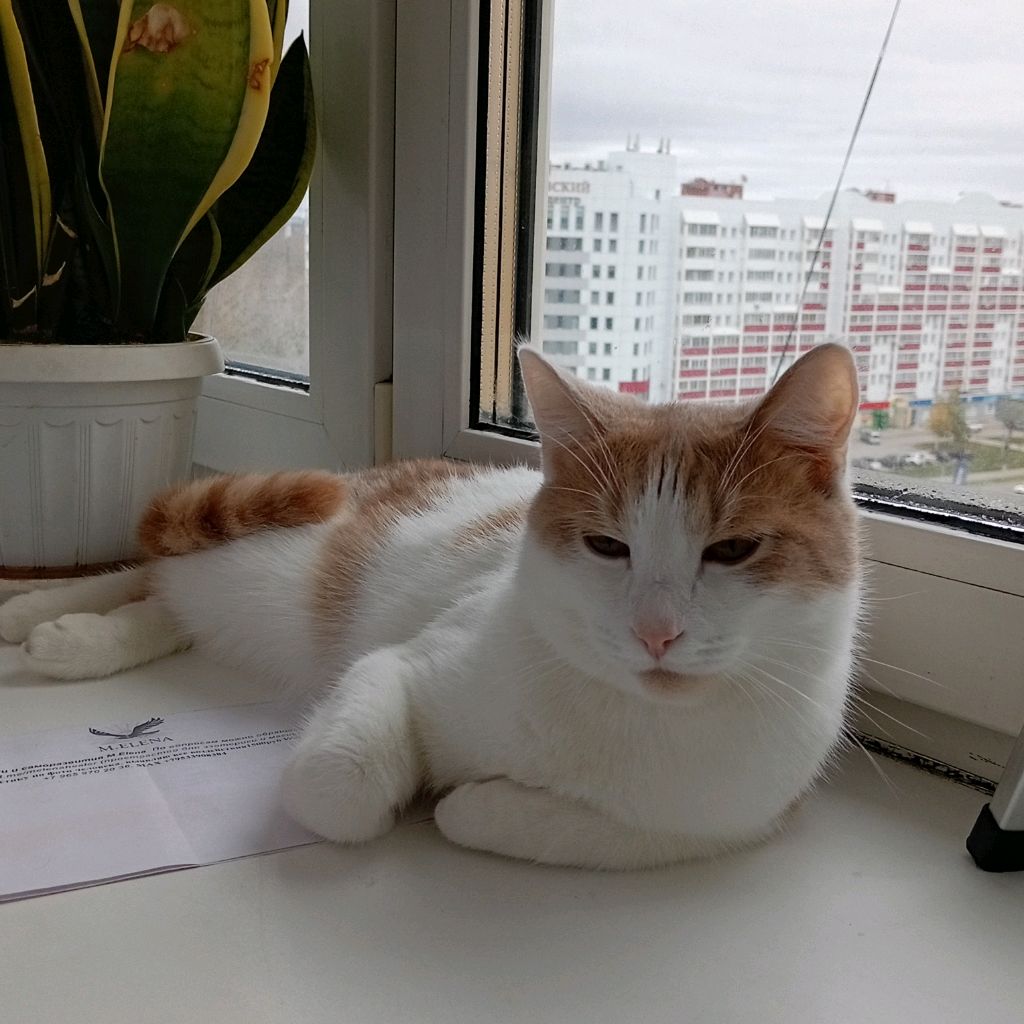 Иконка канала Бар$юшка и Макс 😸🧒🏼