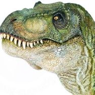 Иконка канала //☆●○°~$DINOSAUR'S KINGDOM$~°○●☆\\