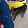 Иконка канала Кто То