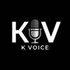 Иконка канала KV studio
