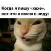 Иконка канала Sibiriy