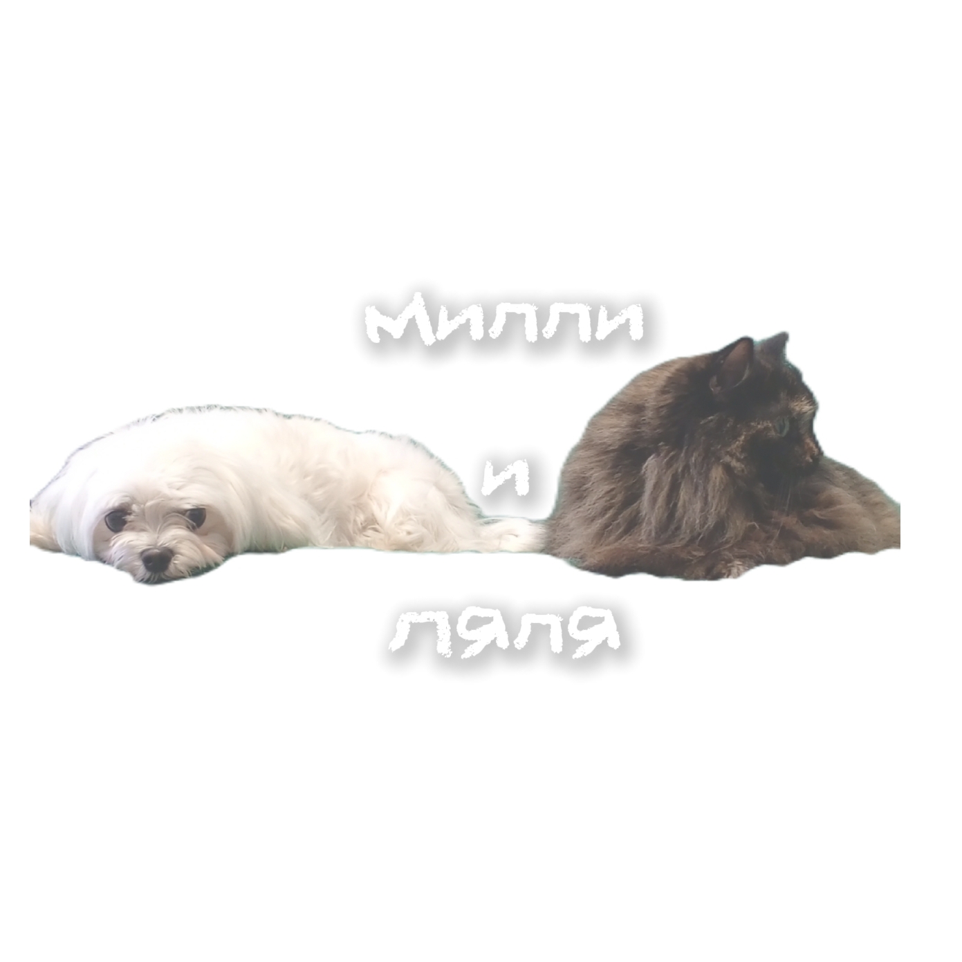 Иконка канала Милли и Ляля🐾