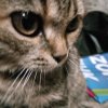 Иконка канала Илья супер мега.