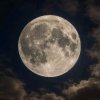 Иконка канала 🌙Луна🌙