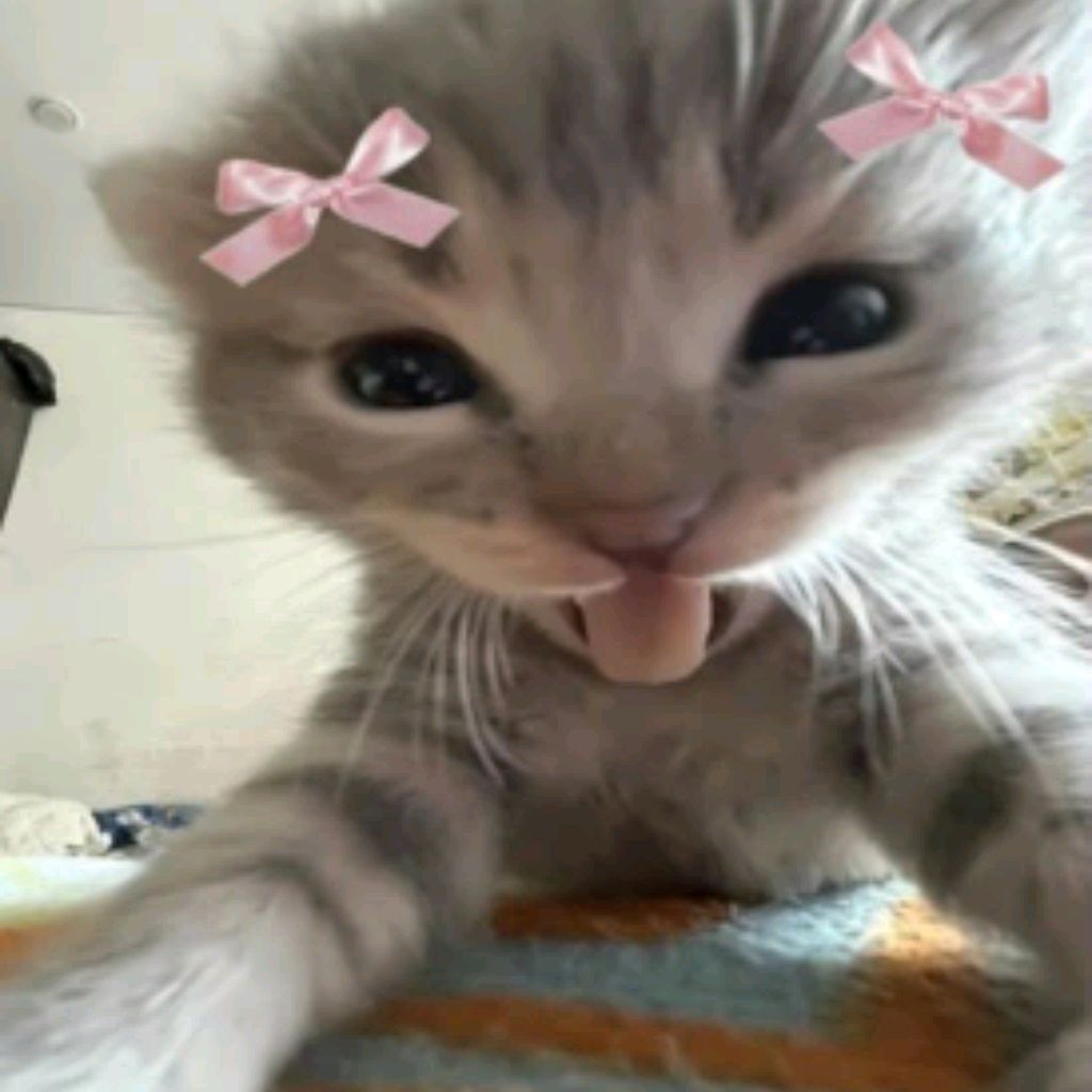 Иконка канала 🌷САНЬКА~МИ🌷
