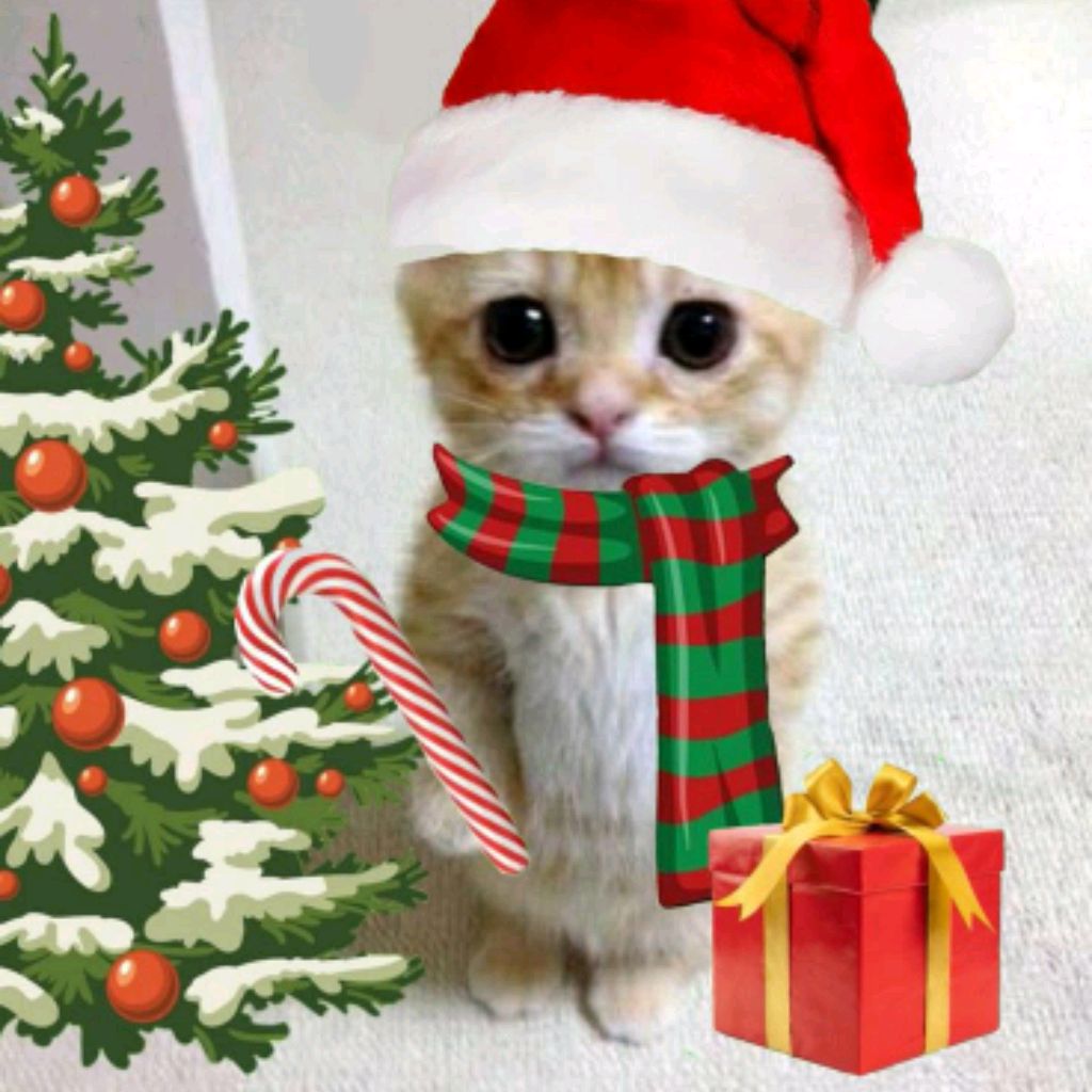 Иконка канала коток бас