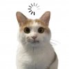 Иконка канала 👾Супер мили Котик🐱