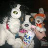 Иконка канала RUSSIA_ESSA🇷🇺🎧﹤3