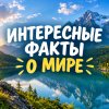 Иконка канала Интересные Факты О Мире