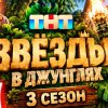 Иконка канала (ПРЕМЬЕРА) Звезды в джунглях 3 сезон 1 серия -ТНТ-
