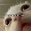 Иконка канала ✿☆ПоФиК ТеБе, дА???☆✿