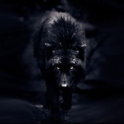 Иконка канала BlackWolf