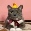 Иконка канала Лотков1
