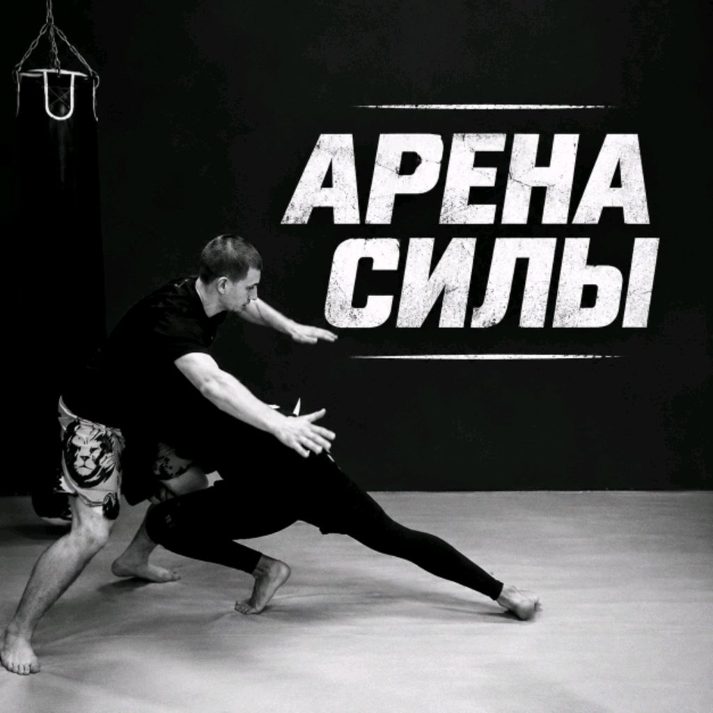 Иконка канала АРЕНА СИЛЫ