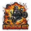 Иконка канала Взрывной Кот