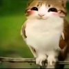 Иконка канала Хе-хе