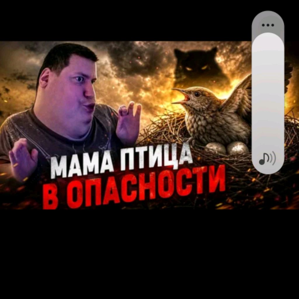 Иконка канала Мама Птица