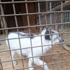 Иконка канала Царапка