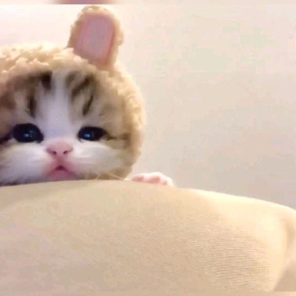 Иконка канала Даша 😹❤️😹